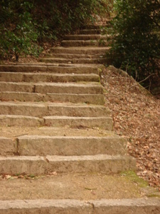 miyajima island mount misen steps