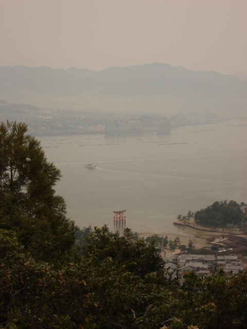 view part of the way up mount misen