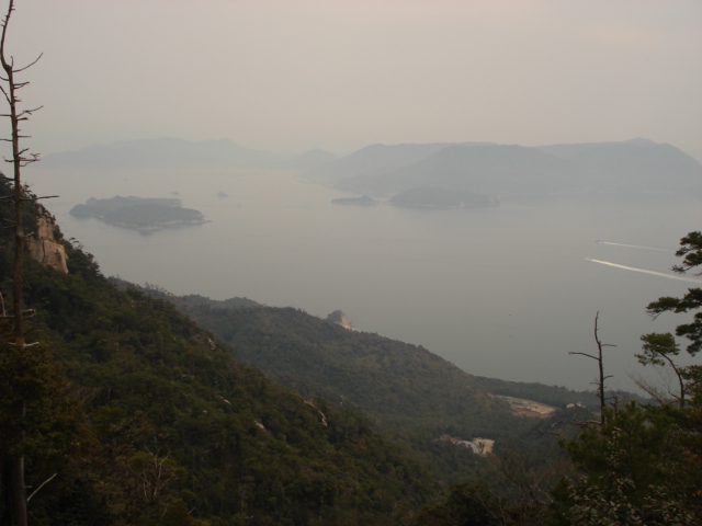 view from mount misen