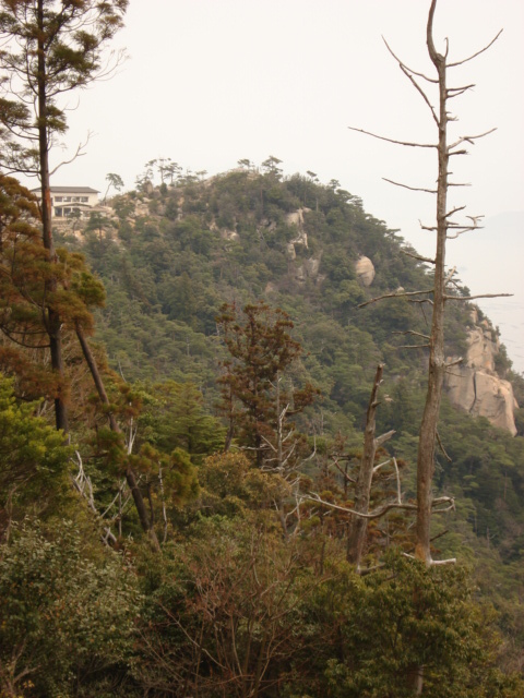 view near top of mount misen overlooking the cable car station