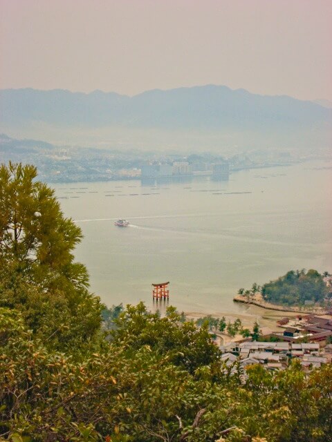 view part of the way up mount misen